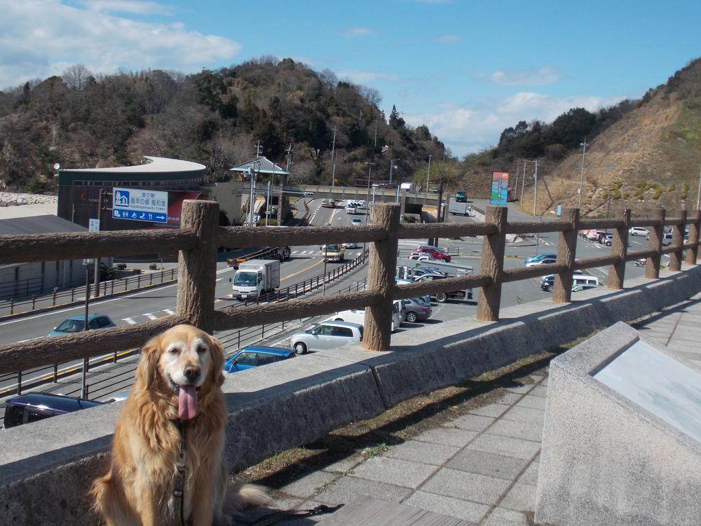 Hojo Suigun Youth Hostel Мацуяма Экстерьер фото