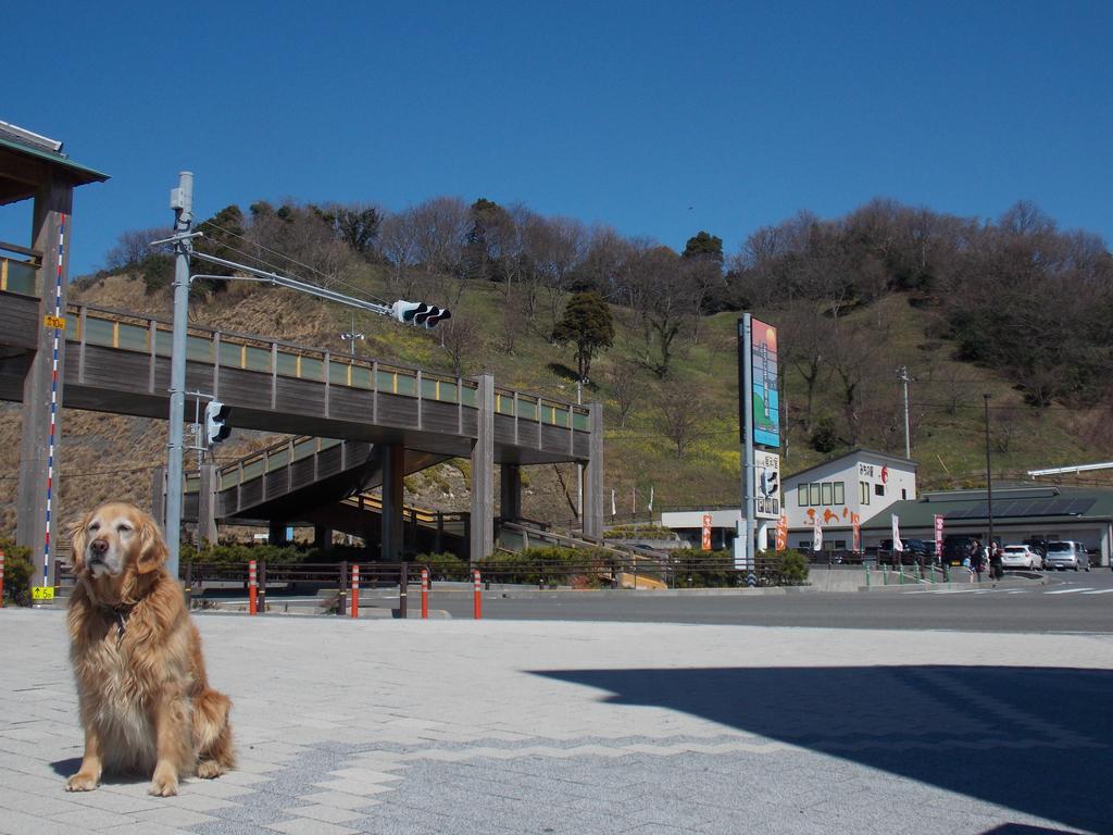 Hojo Suigun Youth Hostel Мацуяма Экстерьер фото